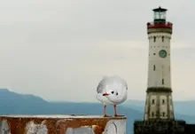 lighthouses seagulls 1920x1200 wallpaper Art HD Wallpaper